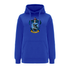 Harry Potter Blue Hoodie